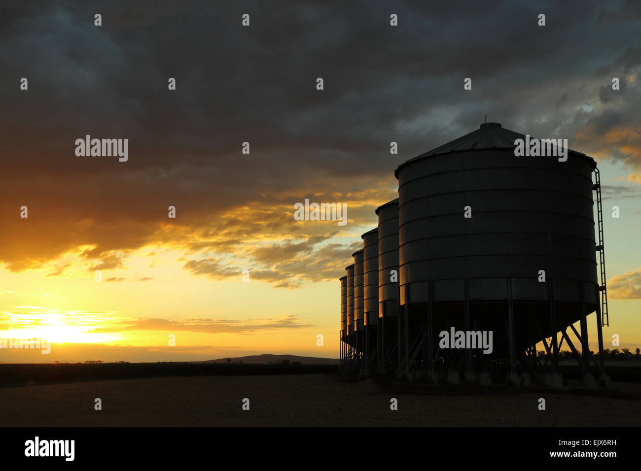 Sei silos per il grano al tramonto su Breeza Station - Breeza, NSW, Australia. Questa zona è parte del Liverpool Plains regione. Foto Stock