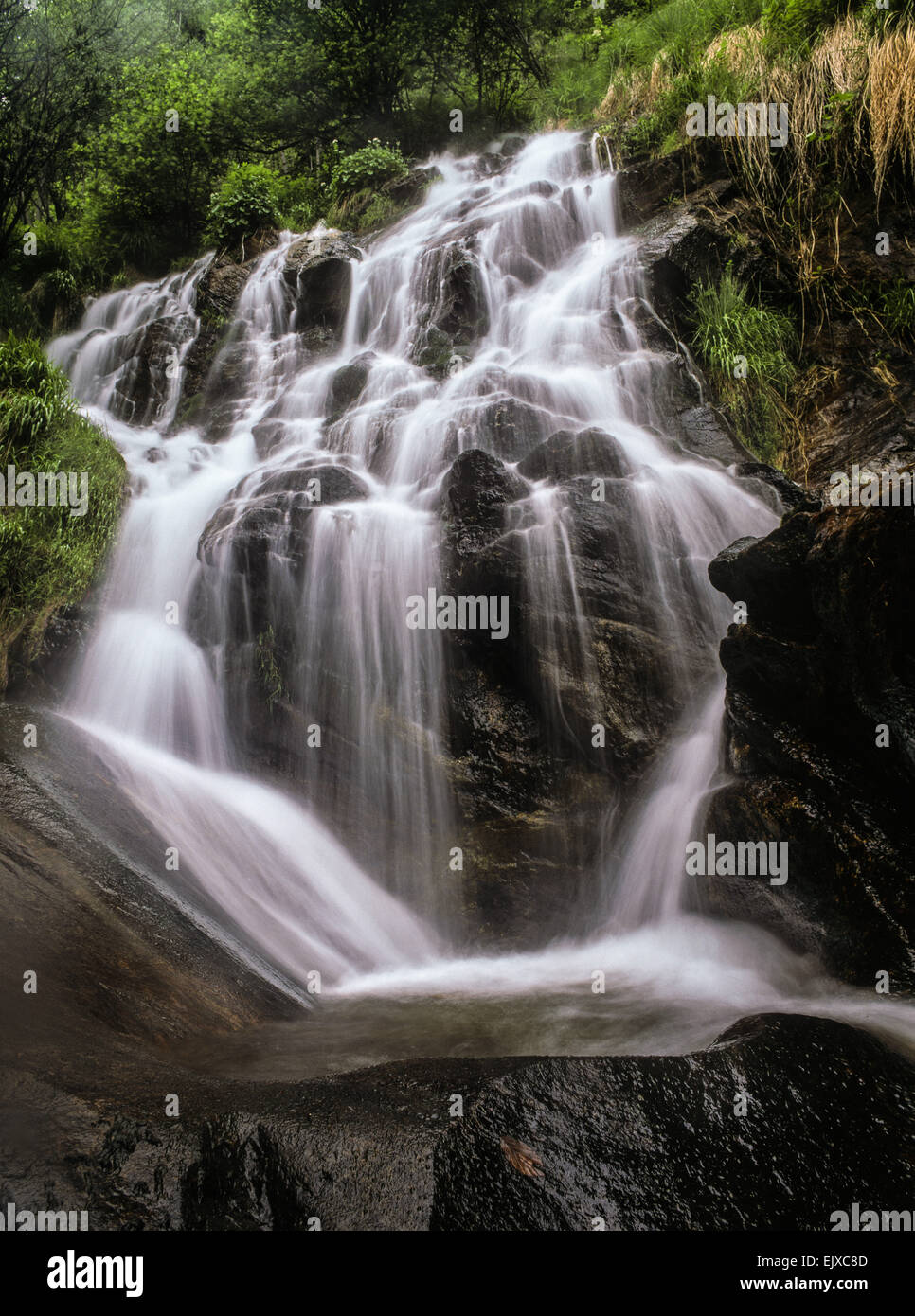 Esposizione lunga cascata shot con acqua liscia in esecuzione su rocce brutali in vivace verde bosco. medio formato paesaggio verticale Foto Stock