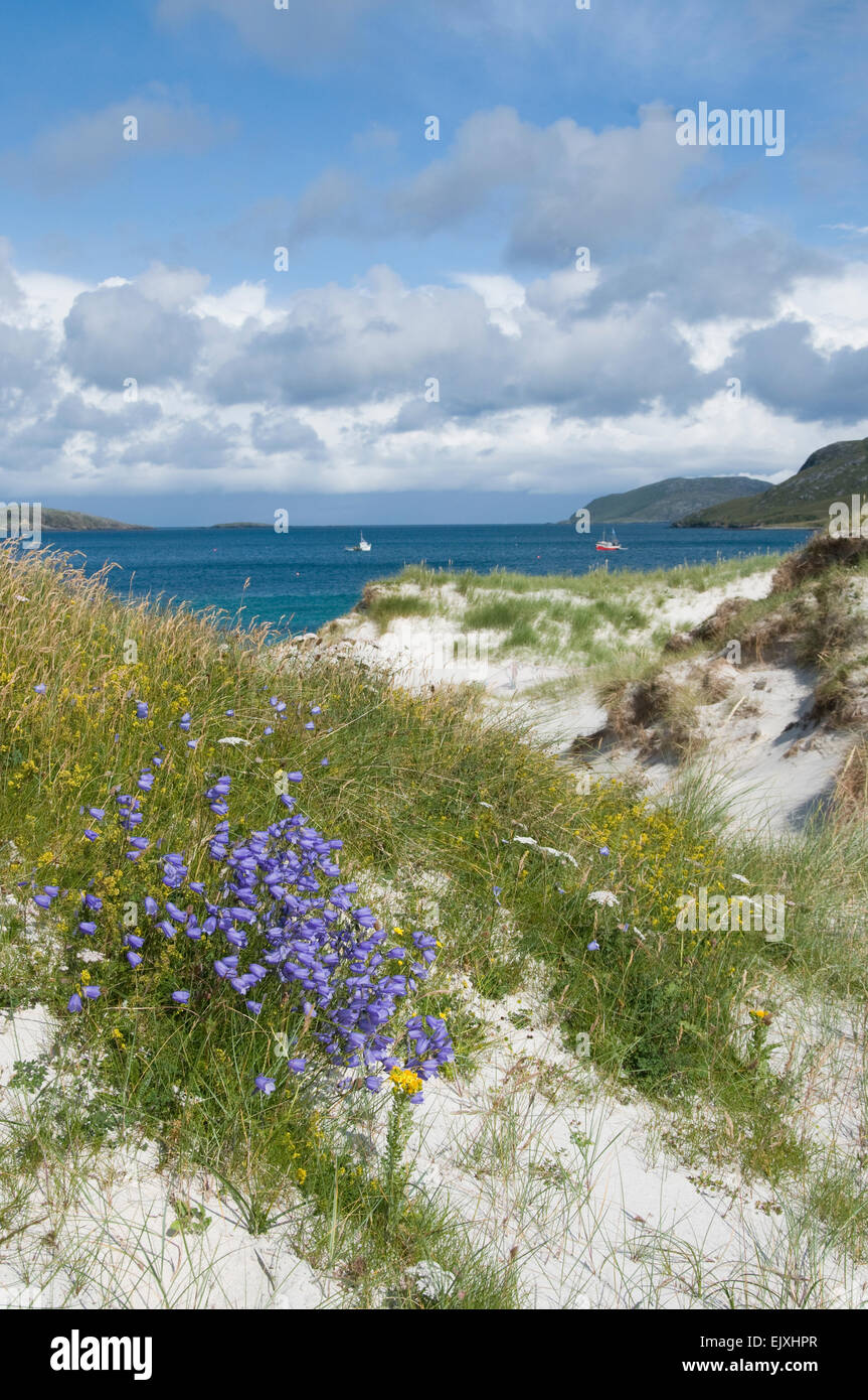 Spiaggia di scena sul vatersay barra Ebridi Esterne Foto Stock
