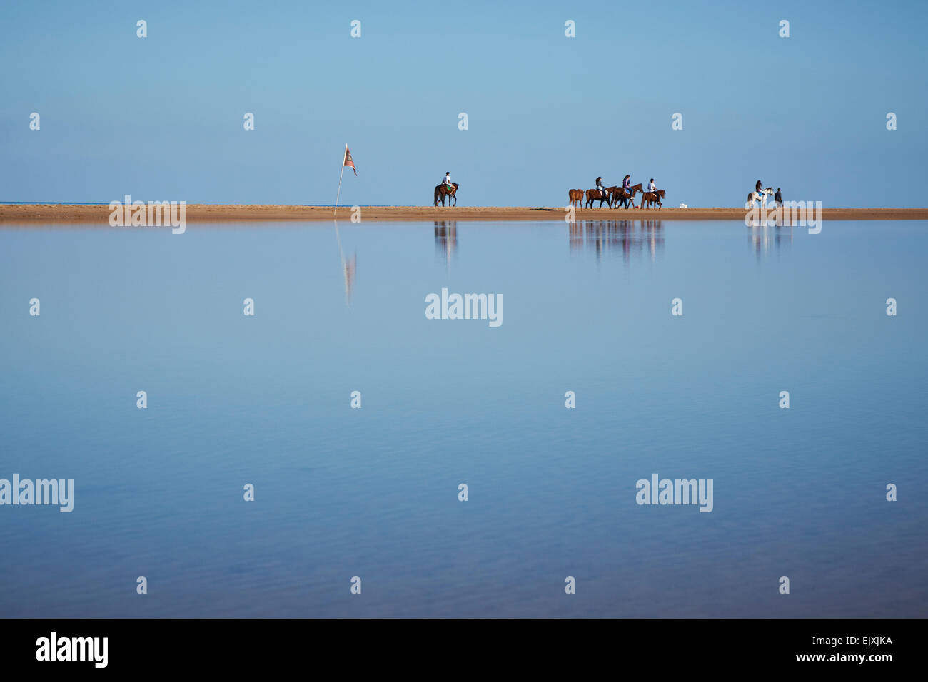 Egitto El Gouna, viaggio con i cavalli sulla spiaggia Foto Stock
