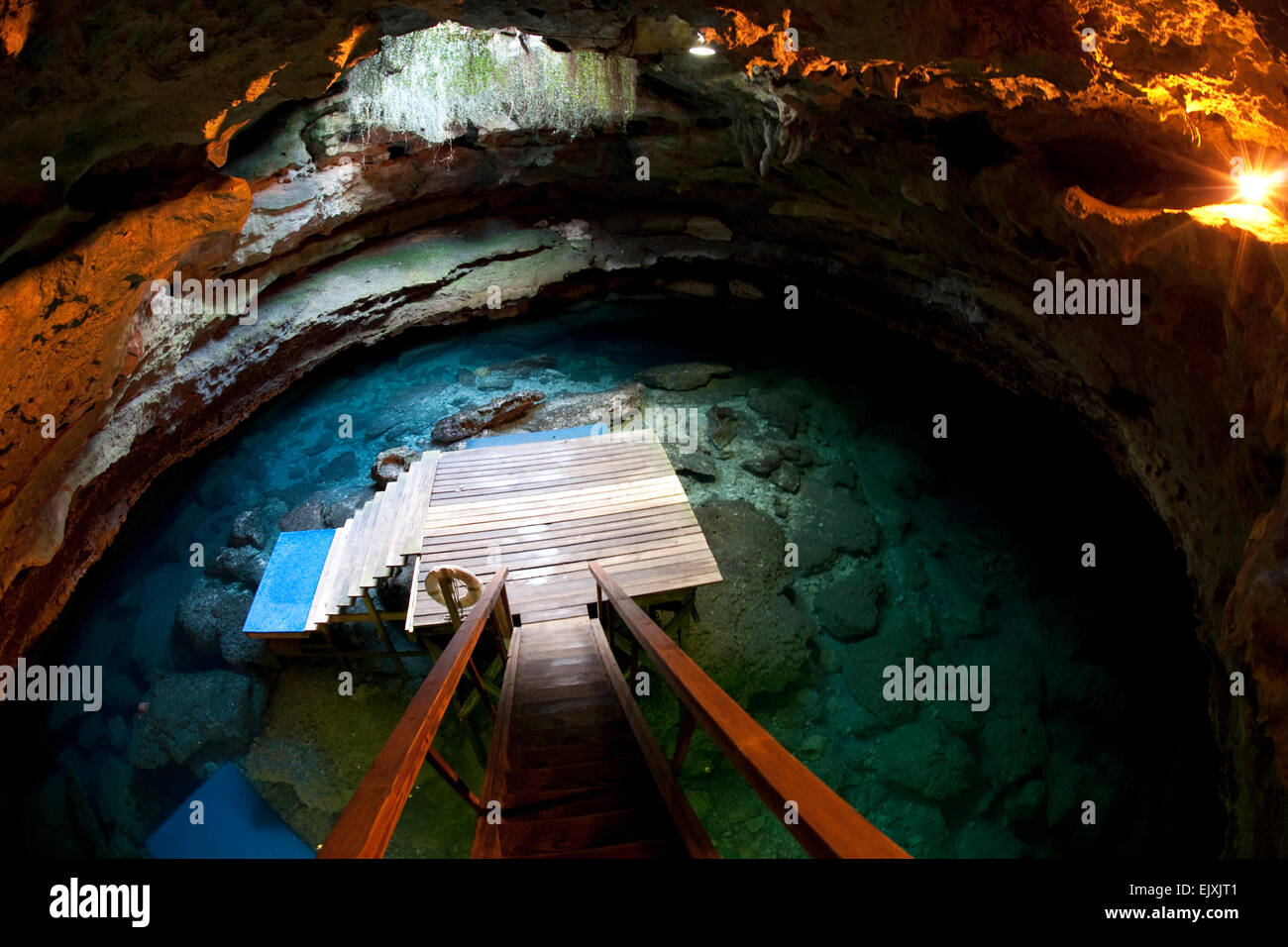 Stati Uniti d'America, Florida, Devil's Den grotta Foto Stock