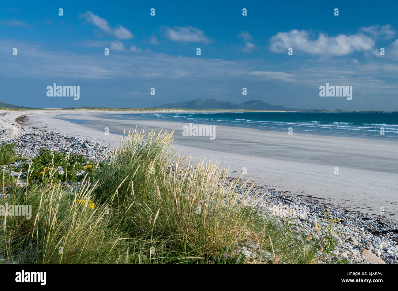 Vista sulla spiaggia a baleshare North Uist con fiori selvaggi e dune Foto Stock