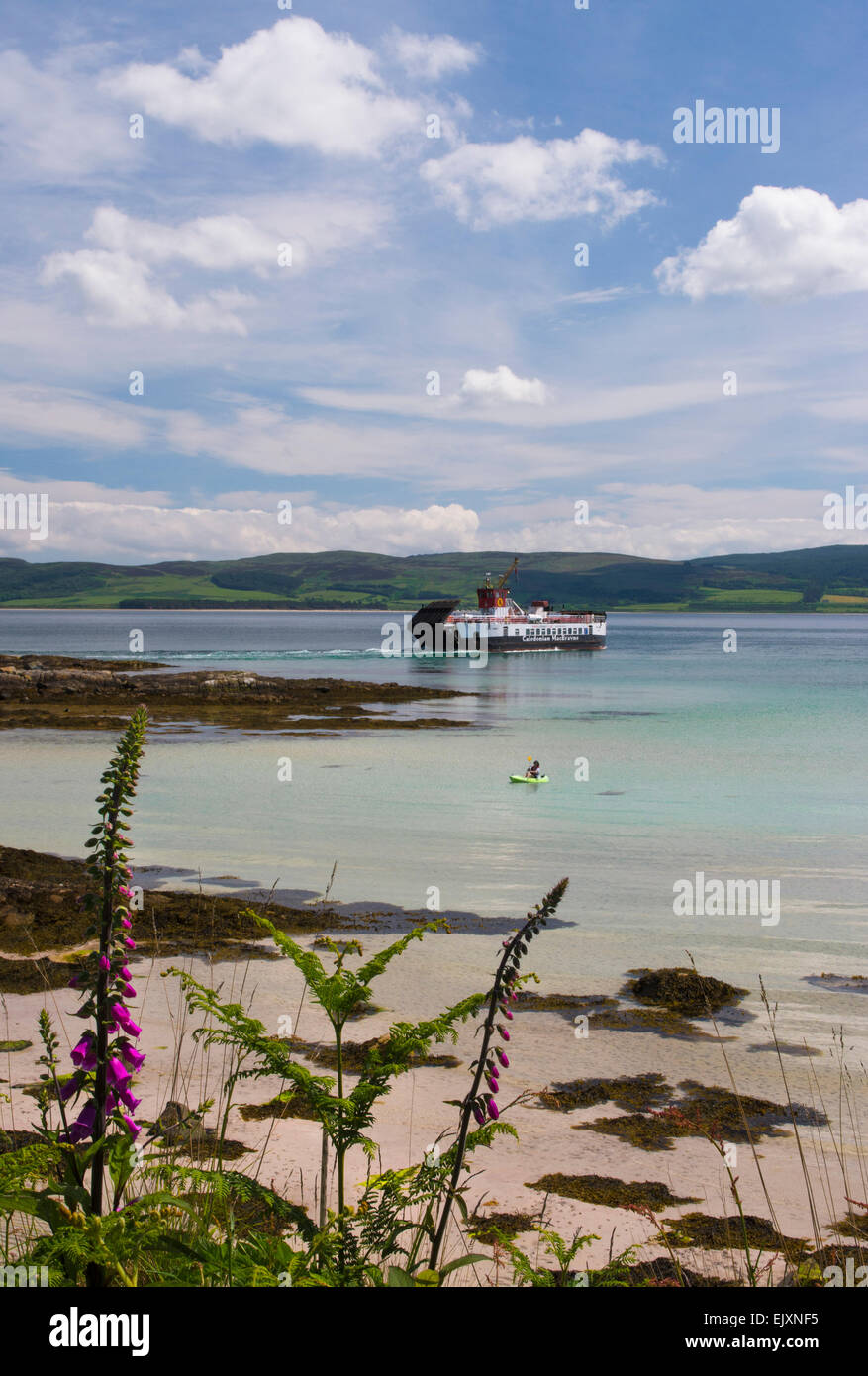 Tayinloan calmac ferry si avvicina a Isle of Gigha Foto Stock