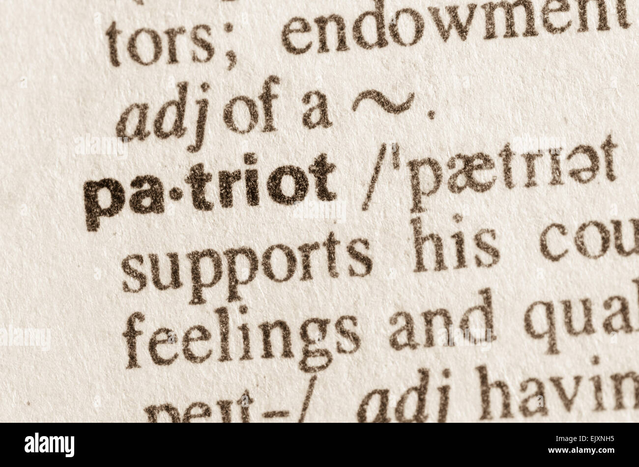 Definizione del patriota di parola nel dizionario Foto Stock