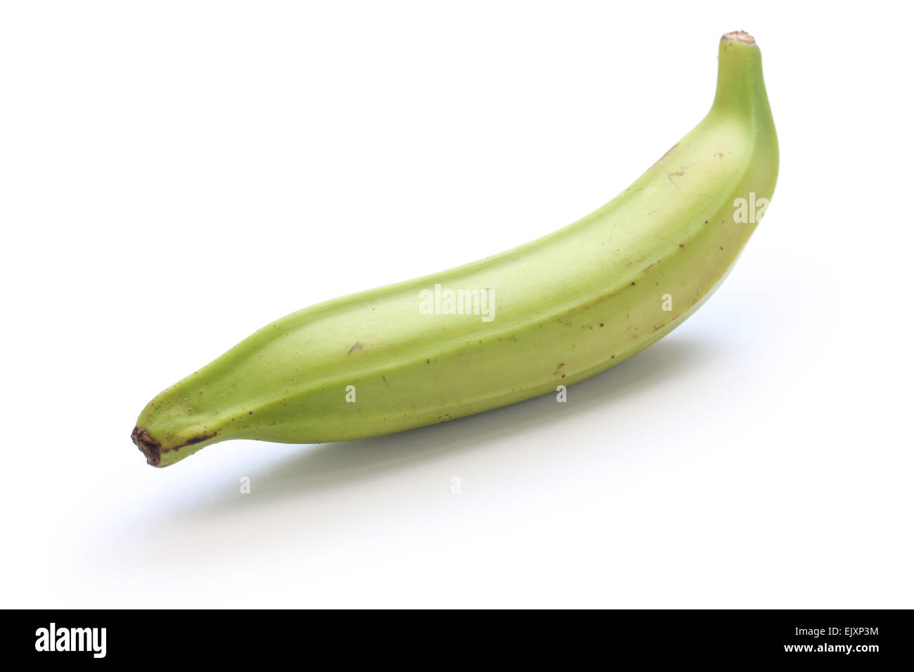 Piantaggine banana su sfondo bianco Foto Stock