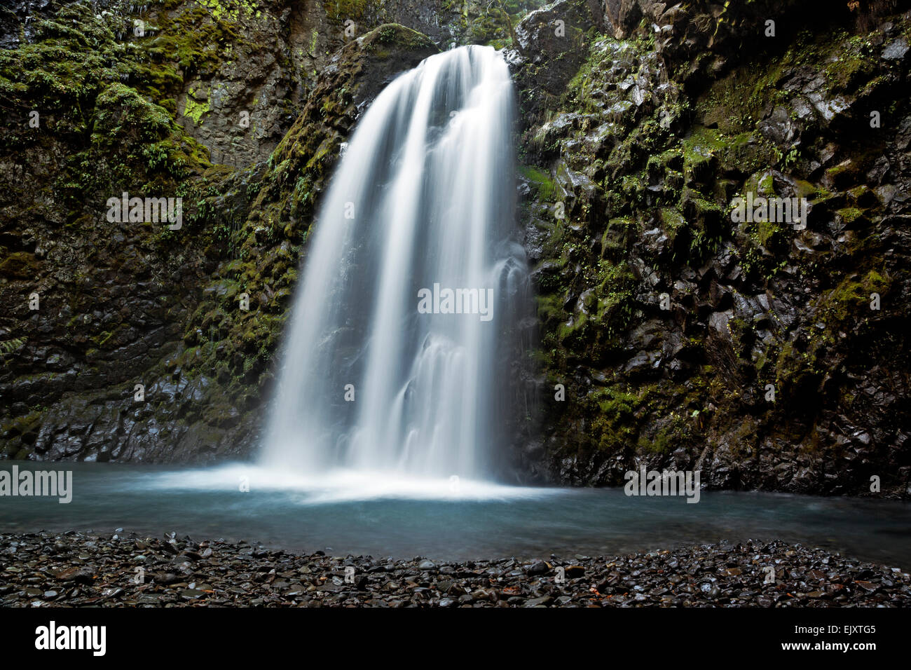 O02096-00...OREGON - Falls Creek Falls in North Fork Umpqua River Valley porzione dell'Umpqua National Forest. Foto Stock