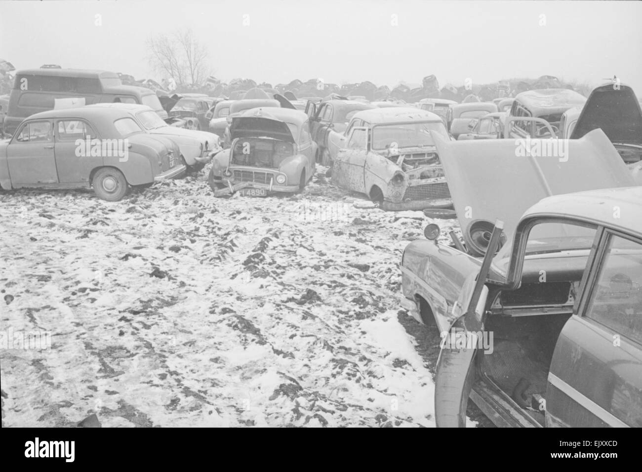 Alcune delle centinaia di rottami di vetture a Jones fratelli junk yard vicino a Londra. Circa 1964 Foto Stock
