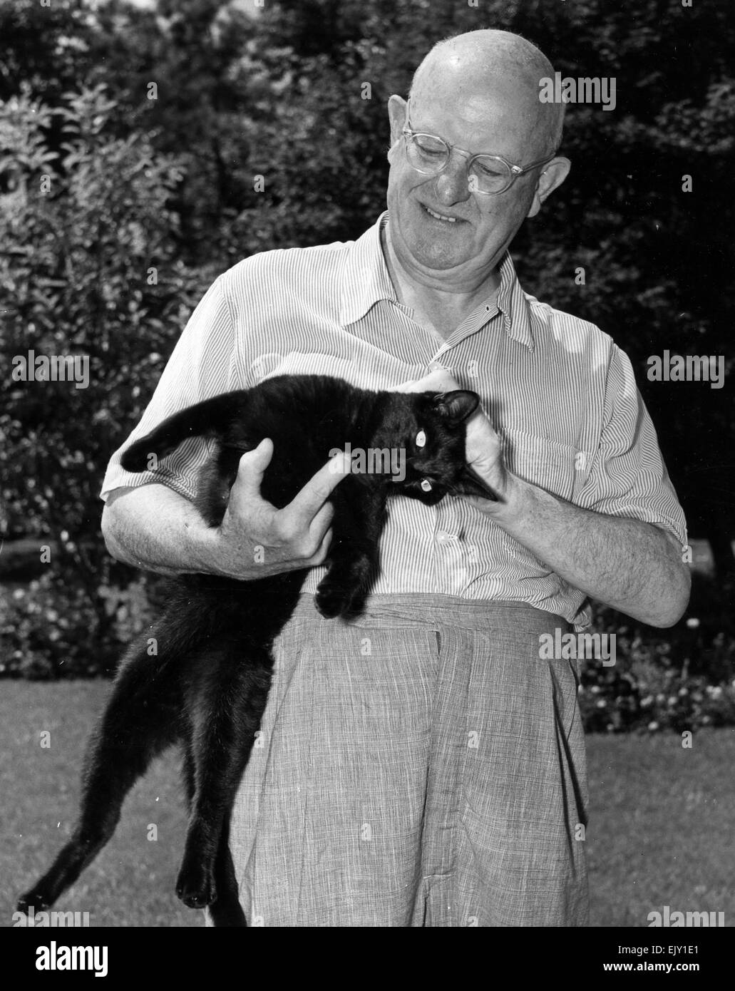 P.G.WODEHOUSE (1881-1975) umorista inglese con il suo gatto Blackie a casa sua nel cestello collo Lane, Remsenburg, New York, circa 1956. Foto Casa grafica 6640J Foto Stock