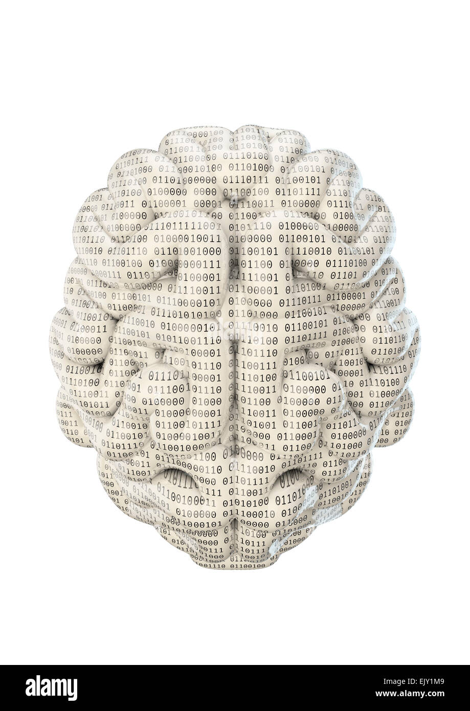3D render di cervello contemplati nel codice binario zeri e uni Foto Stock