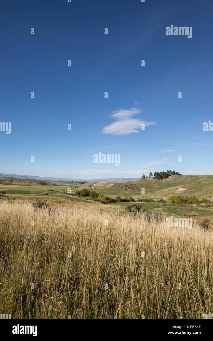 Maniototo pianure, regione di Otago, South Island, in Nuova Zelanda. Foto Stock