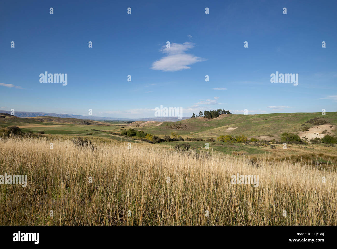 Maniototo pianure, regione di Otago, South Island, in Nuova Zelanda. Foto Stock