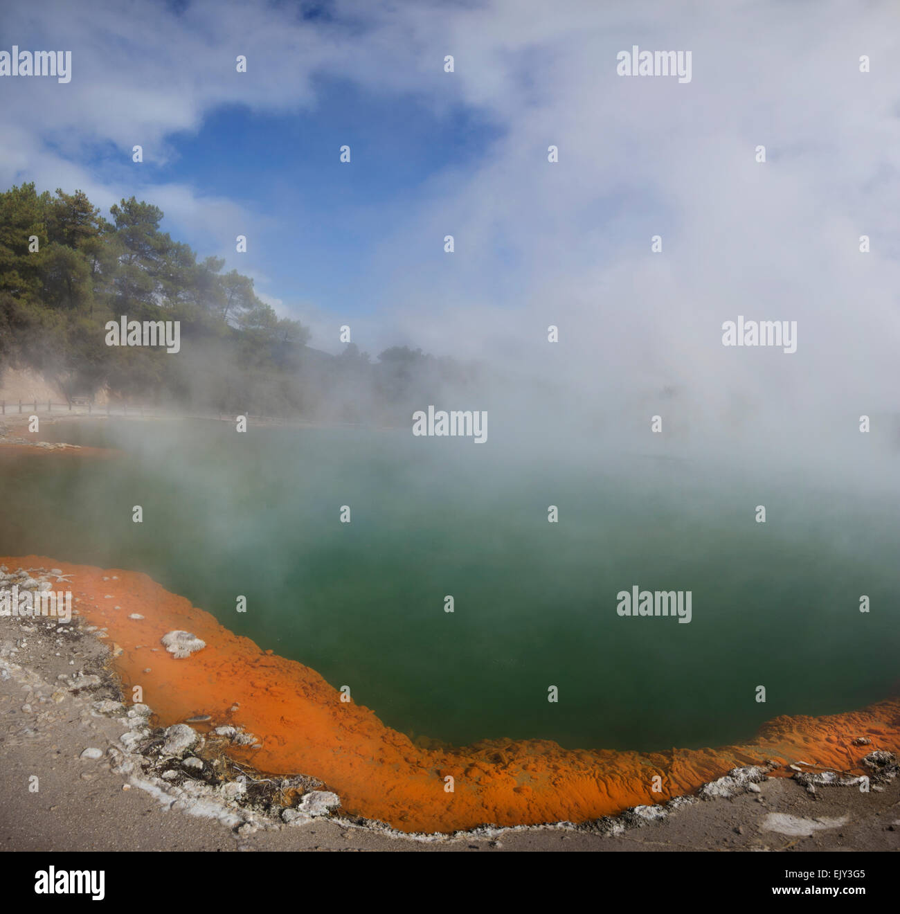 Champagne Piscina, parco termale, Rotorua, Isola del nord, Nuova Zelanda. Foto Stock