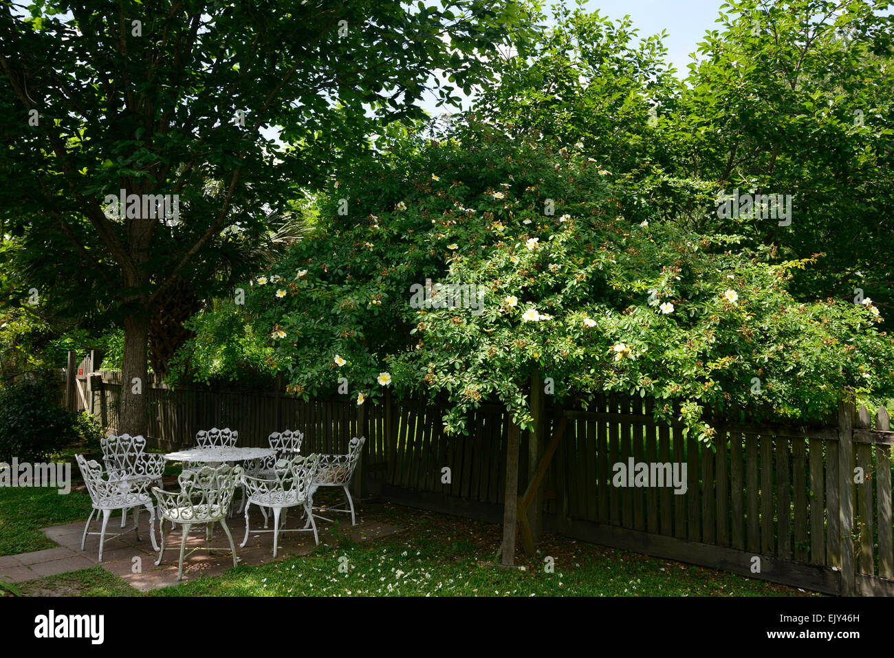 Bianco in ferro battuto tavolo in metallo Sedie mobili patio ombreggiato di ombra al riparo da giardinaggio giardino floreale RM Foto Stock