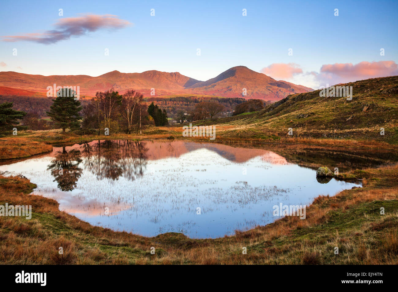 Kelly Hall Tarn vicino Torver nel Parco Nazionale del Distretto dei Laghi con il vecchio di Coniston nella distanza. Foto Stock