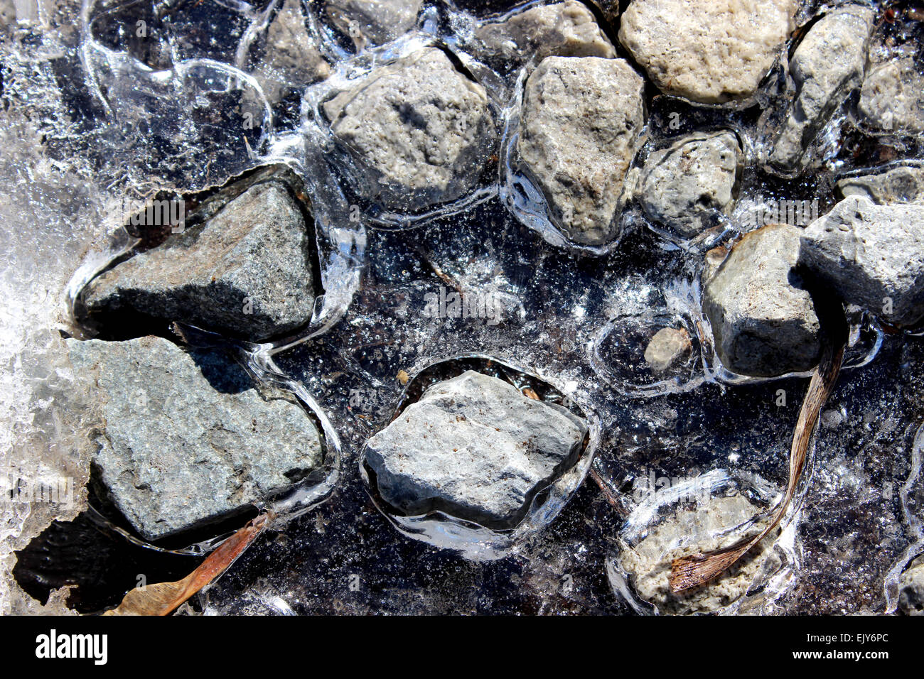 Dettaglio fotografia neve fondono su rocce in un inverno in Ontario, Canada Foto Stock