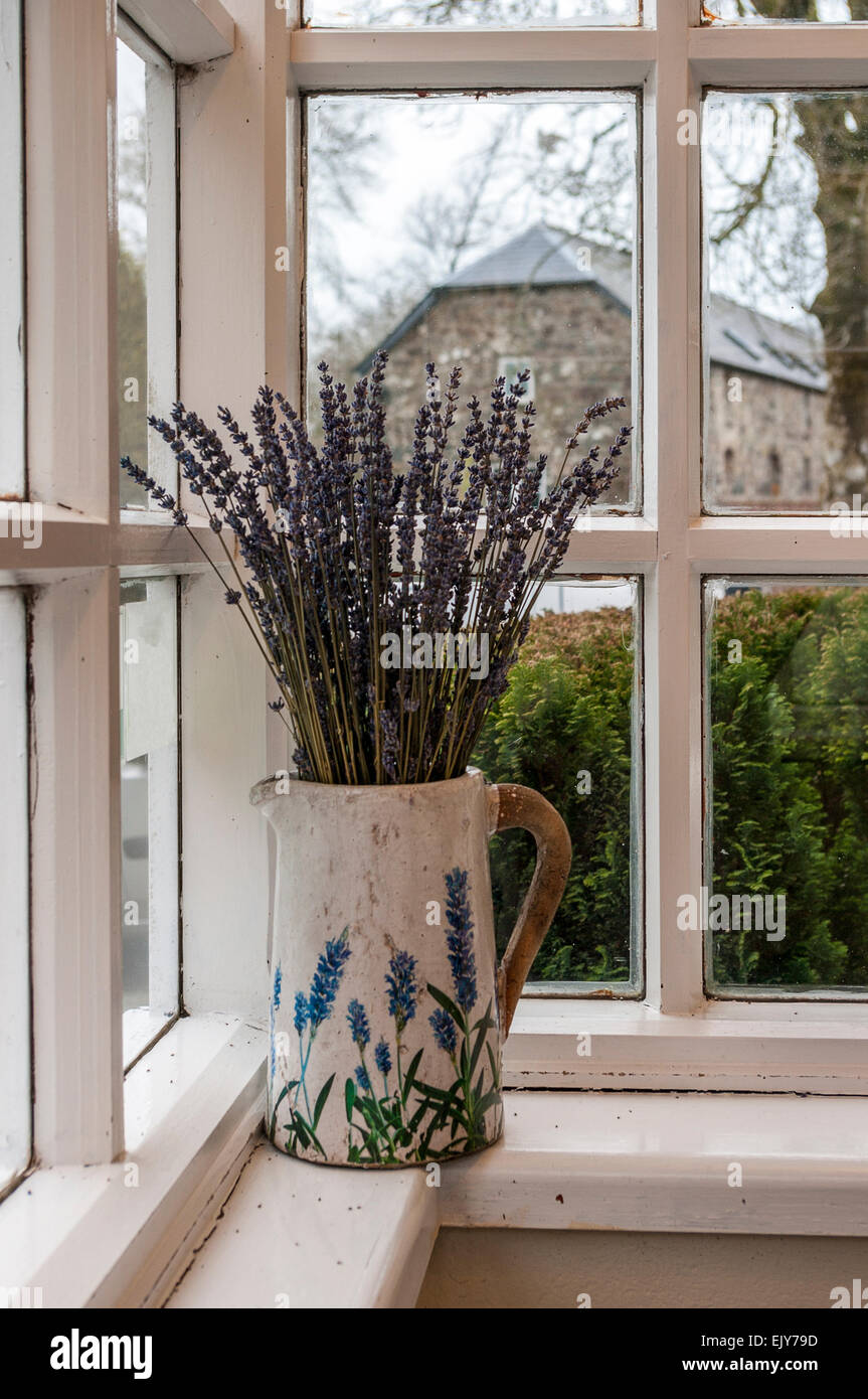 Brocca contenente essiccati fiori di lavanda nella finestra portico Foto Stock