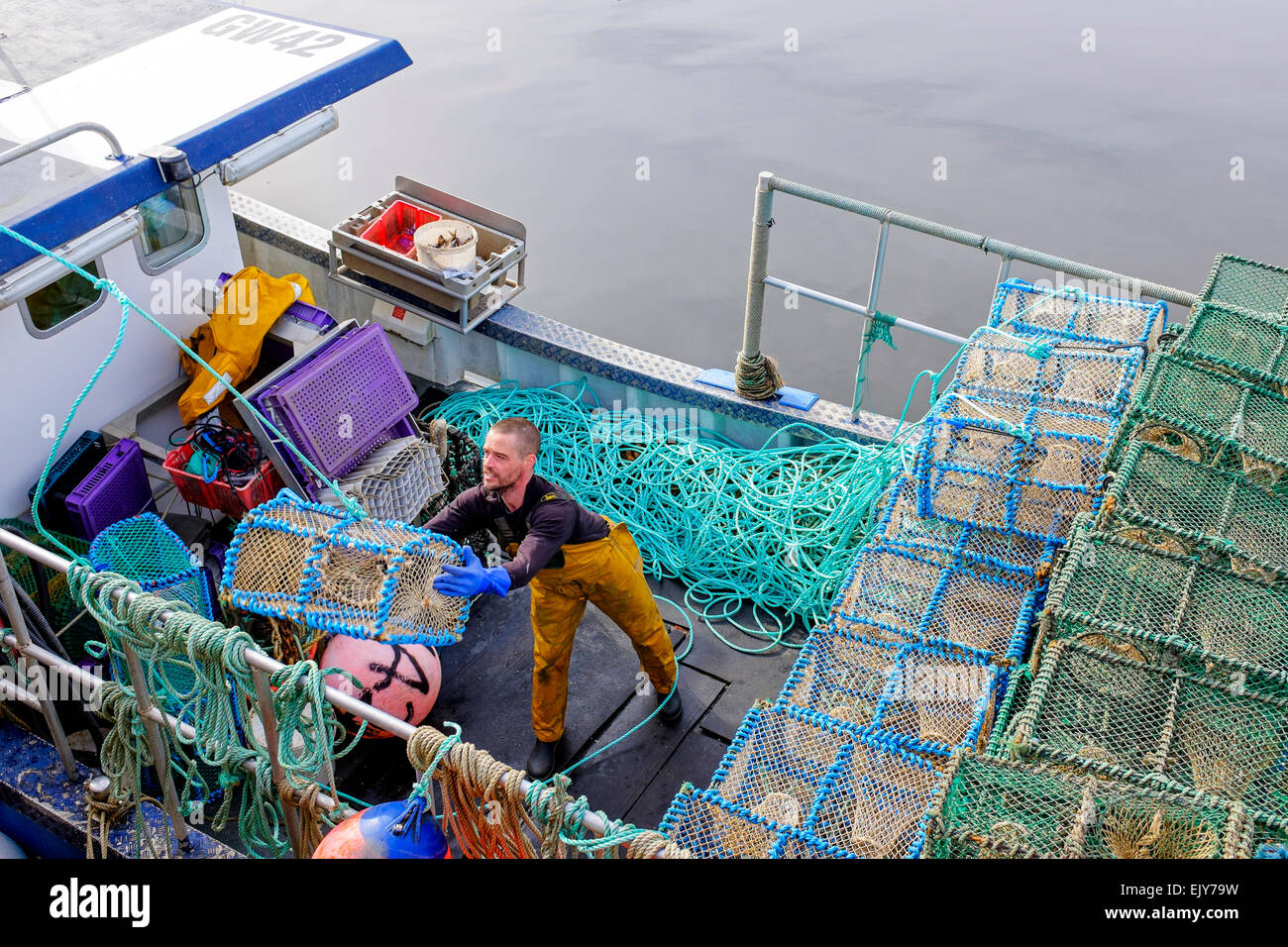 Neil McCulloch, pescatore di gamberi, caricando la sua barca da pesca con reti prima di uscire per andare a pesca nel Firth of Clyde, Greenock Foto Stock