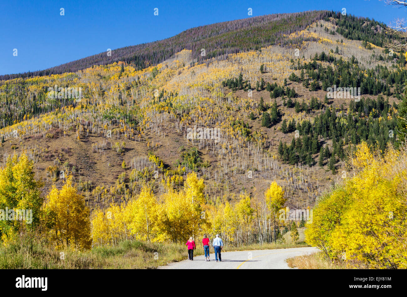 Trio escursione sul vecchio Vail pass in autunno Foto Stock