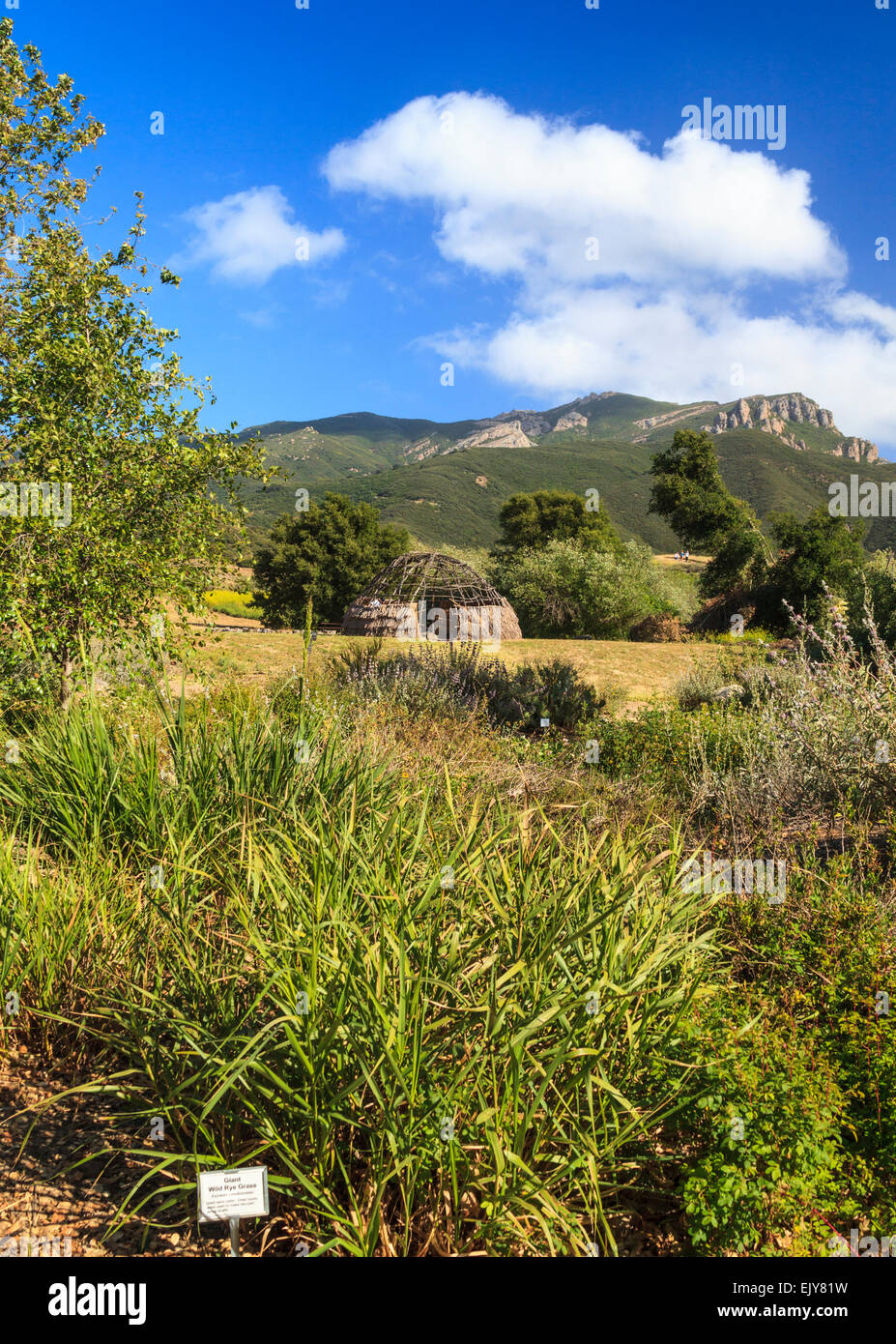 Giardino e Chumash dwelliing ricostruiti al Rancho Sierra Vista/Satwiwa Foto Stock