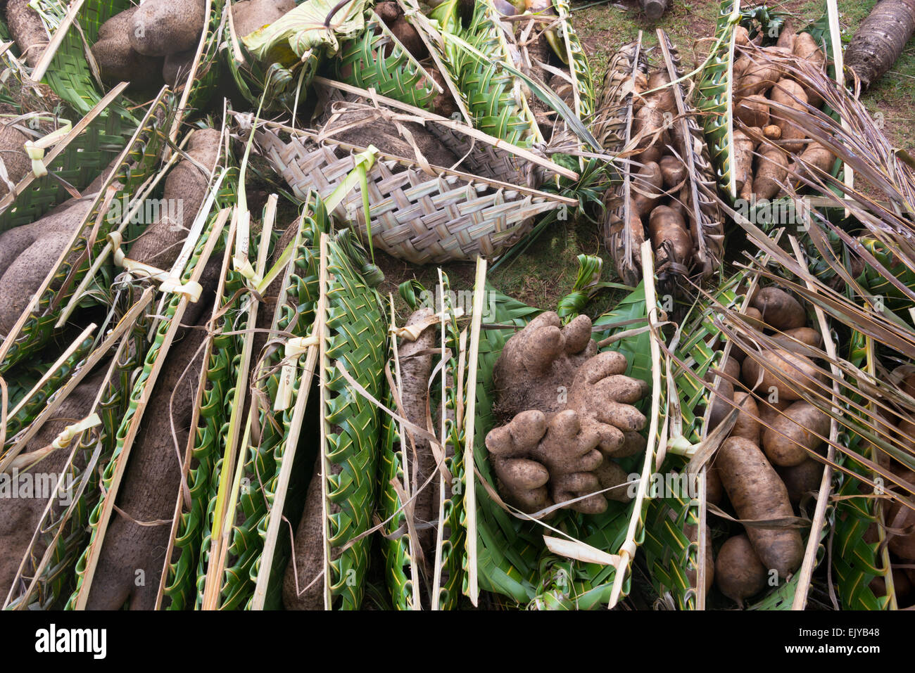 Mano sacchetti di Palm tree lascia trasportare taros, Yap Island, Stati Federati di Micronesia Foto Stock