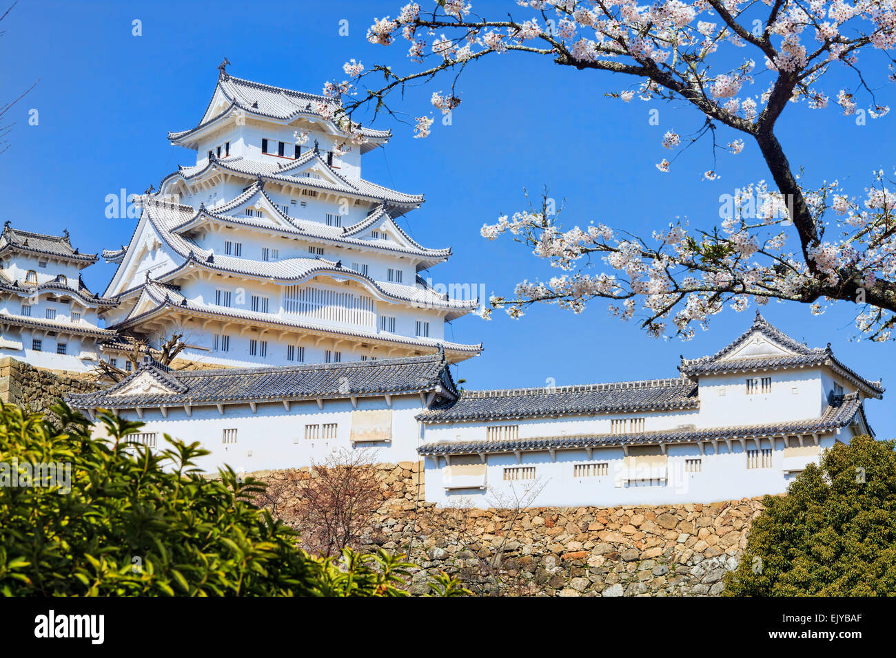 Himeji, Giappone - 28 Marzo 2015: il castello di Himeji durante la fioritura dei ciliegi tempo Foto Stock