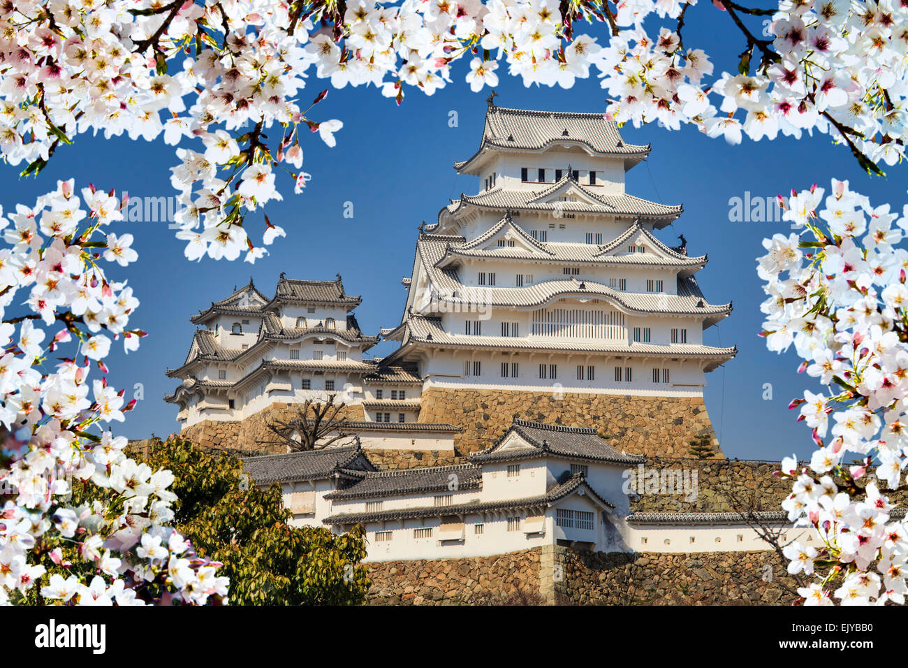 Himeji, Giappone - 28 Marzo 2015: il castello di Himeji durante la fioritura dei ciliegi tempo Foto Stock