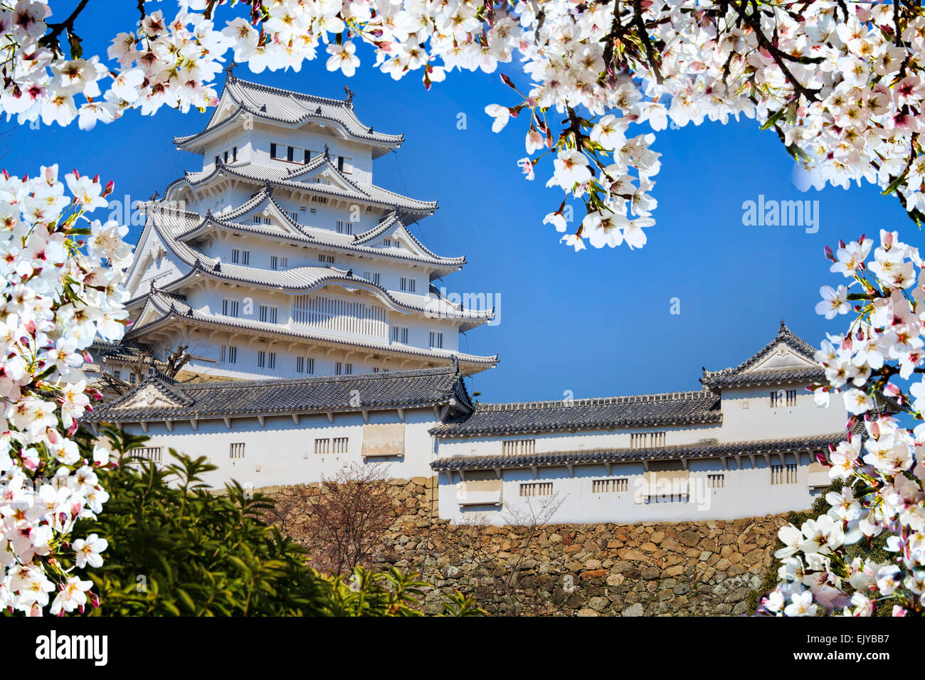 Himeji, Giappone - 28 Marzo 2015: il castello di Himeji durante la fioritura dei ciliegi tempo Foto Stock