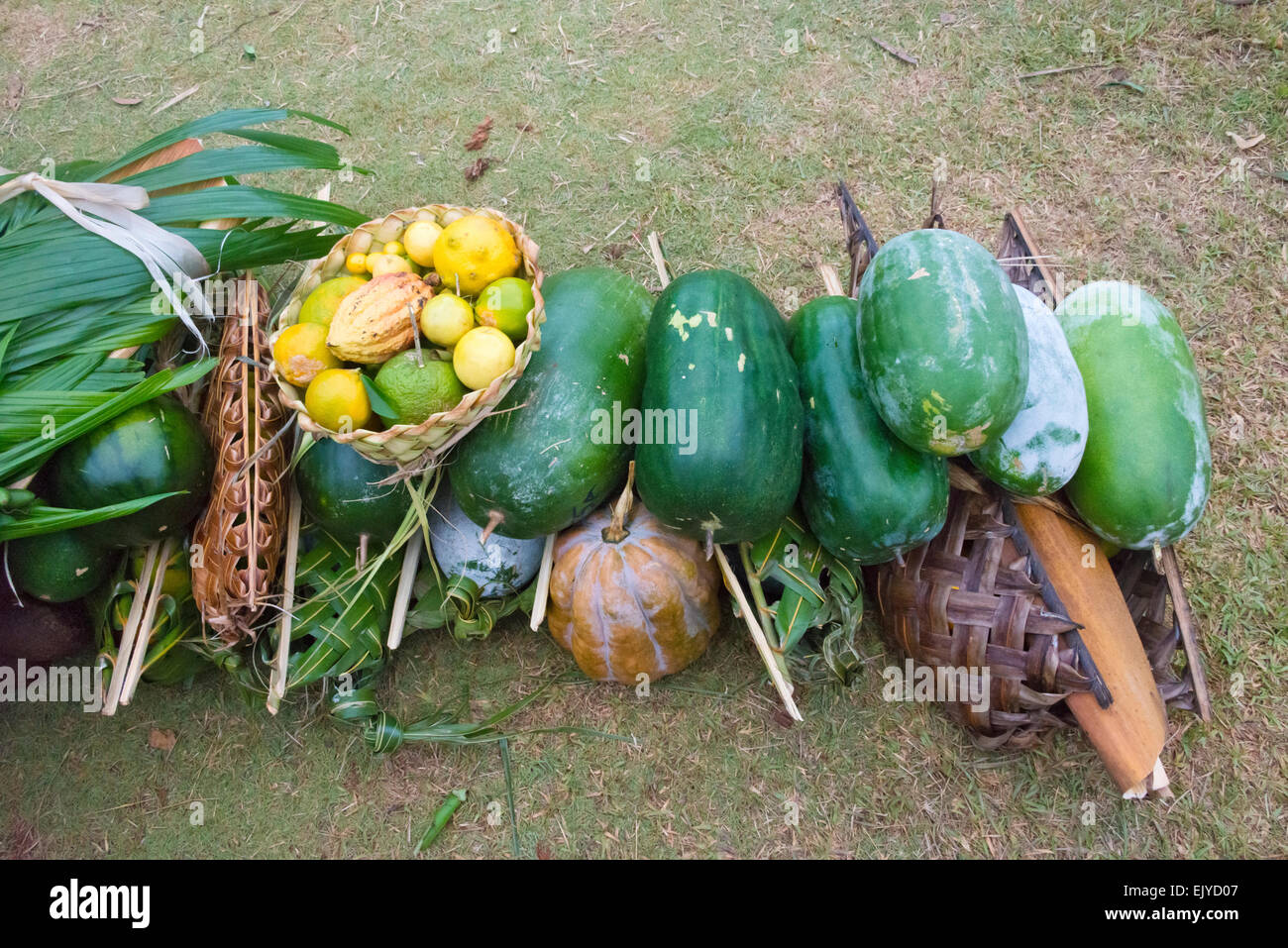 Mano sacchetti da Palm tree lascia il trasporto di frutta e verdura, Yap Island, Stati Federati di Micronesia Foto Stock