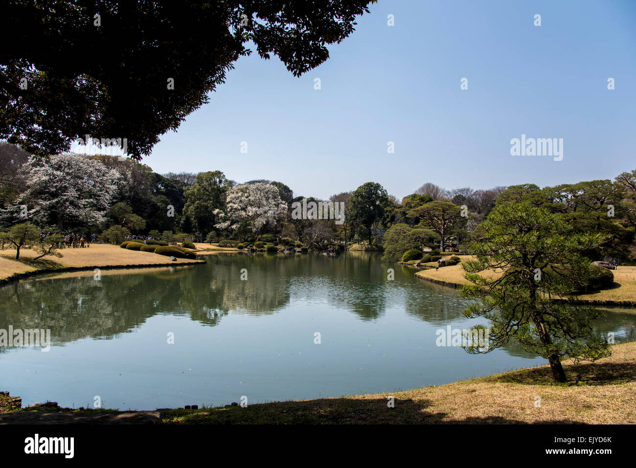 Giardino Rikugien,Bunkyo-Ku,Tokyo Giappone Foto Stock