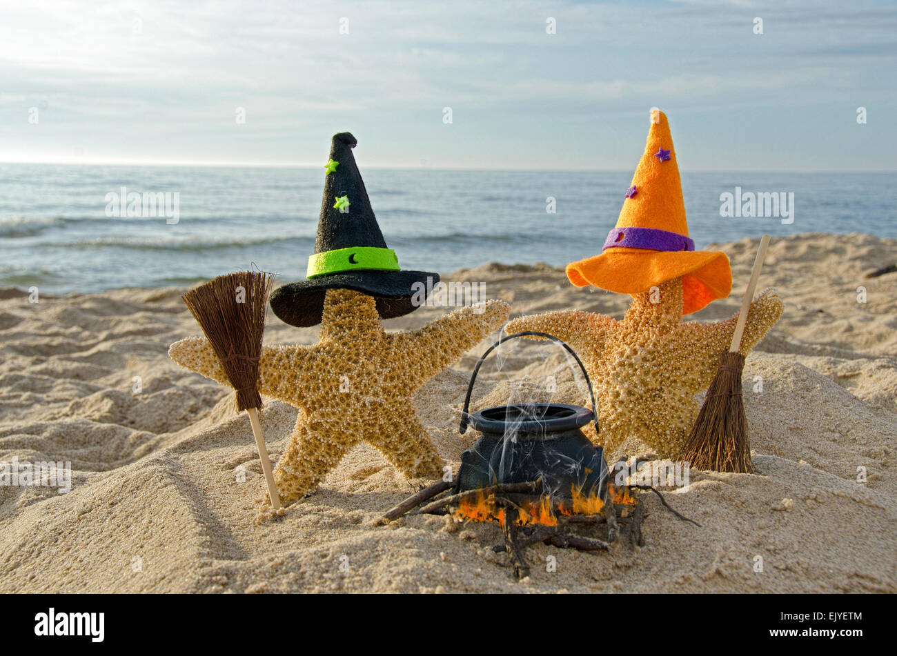 Halloween starfish con la strega hat, calderone e ginestra sulla riva del mare. Foto Stock