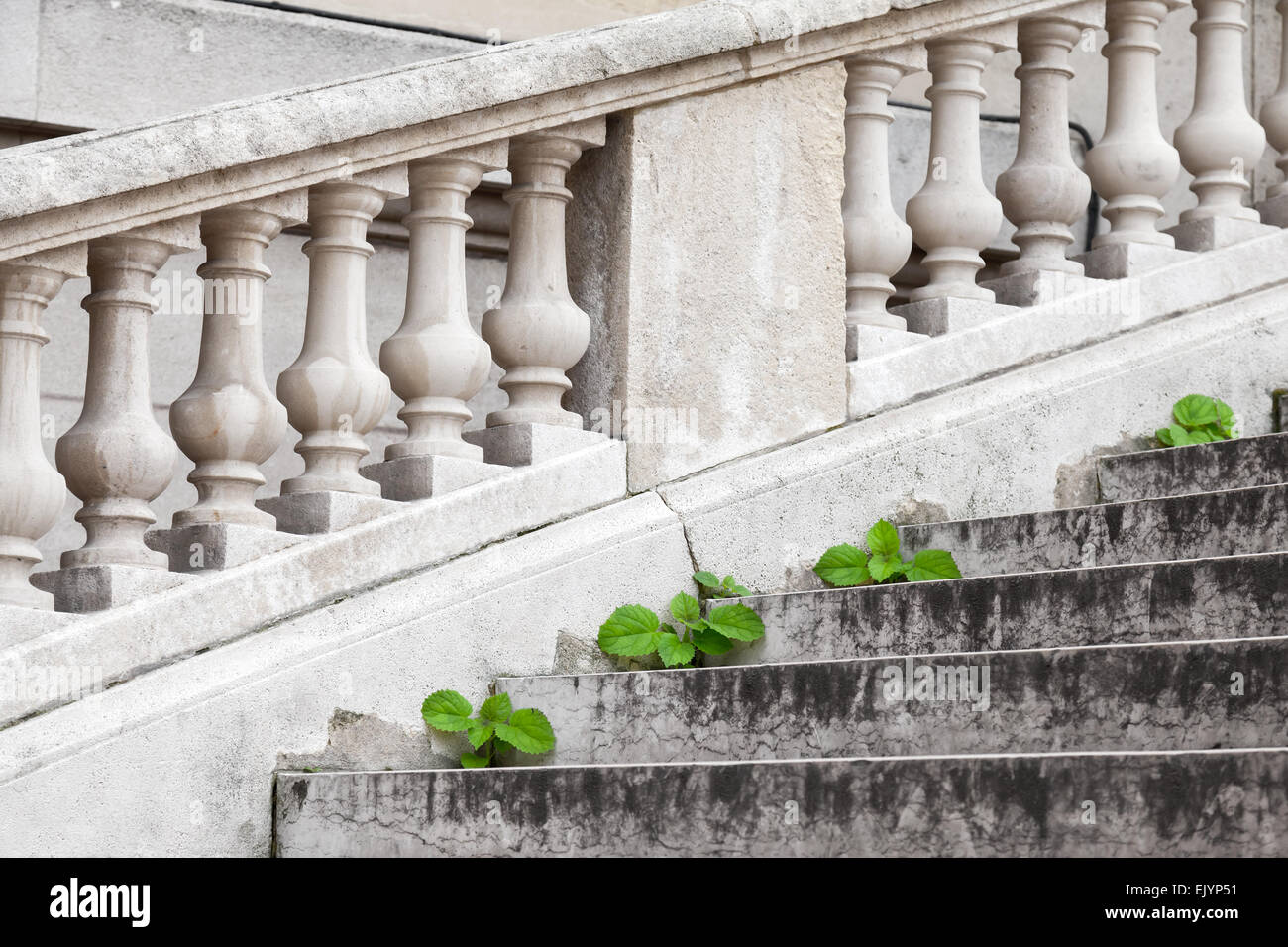 Piccole piante verdi crescere attraverso le antiche scale in pietra in un parco di Parigi, Francia Foto Stock