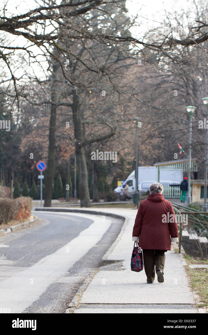 Donne anziane a camminare su una strada in un parco su una noiosa giornata invernale - back shot Foto Stock