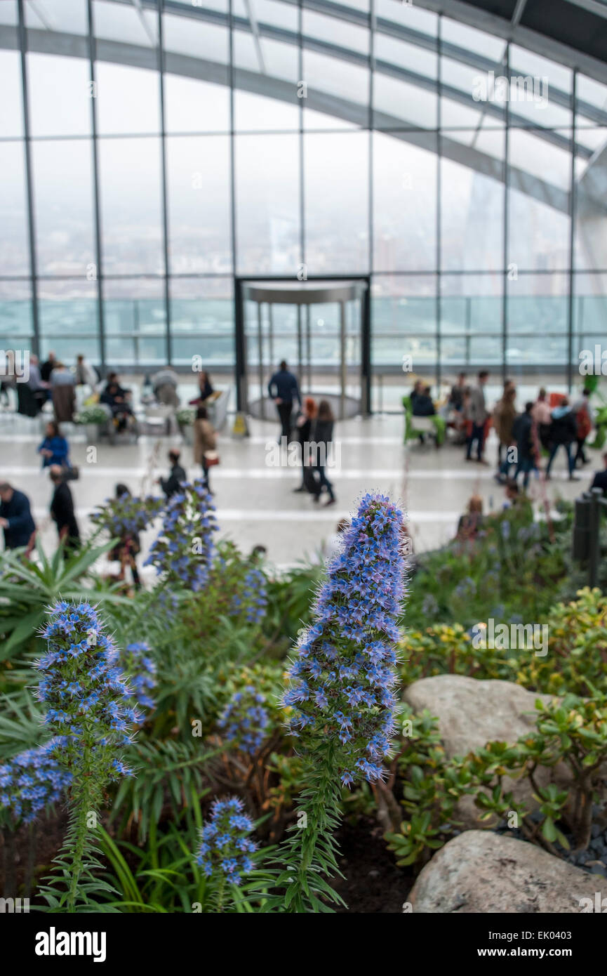 Londra, Regno Unito. Il 3 aprile 2015. Anche se piove, i visitatori accorrono per Sky Garden, una visualizzazione pubblico gallery in cima 20 Fenchurch Street, altrimenti noto come "walkie talkie' edificio. Credito: Stephen Chung / Alamy Live News Foto Stock