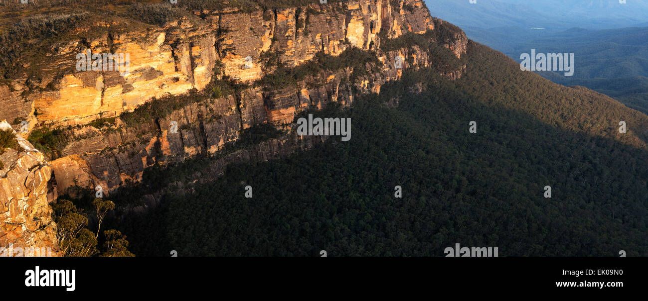 Dettaglio della scarpata sul punto sublime e Jamison Valley Il Parco Nazionale Blue Mountains Nuovo Galles del Sud Australia Foto Stock