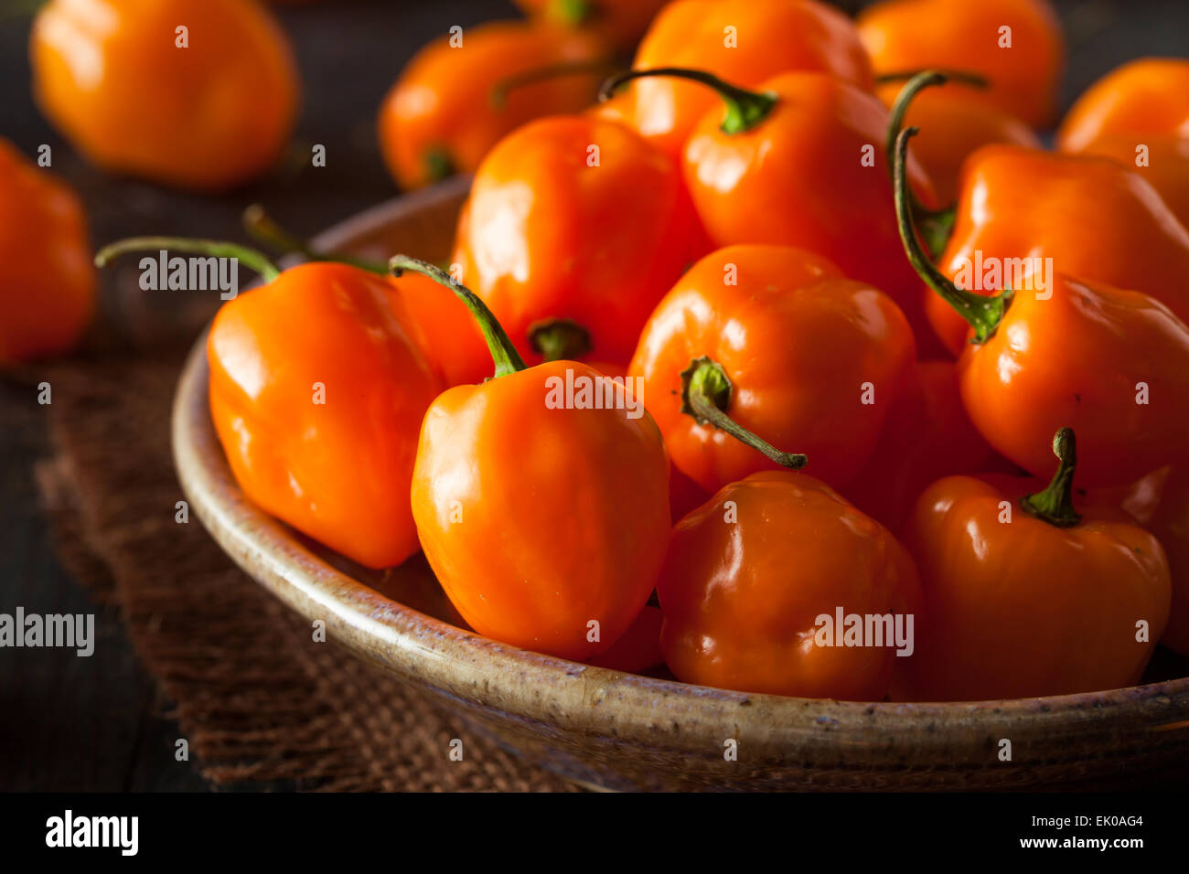 Materie organiche Habanero arancione peperoni su uno sfondo Foto Stock