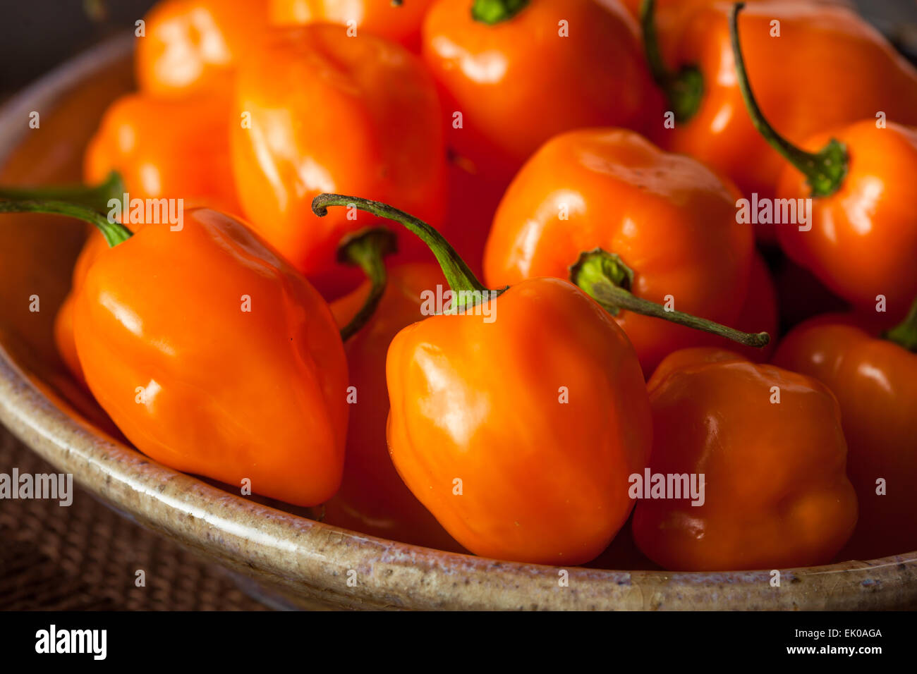 Materie organiche Habanero arancione peperoni su uno sfondo Foto Stock