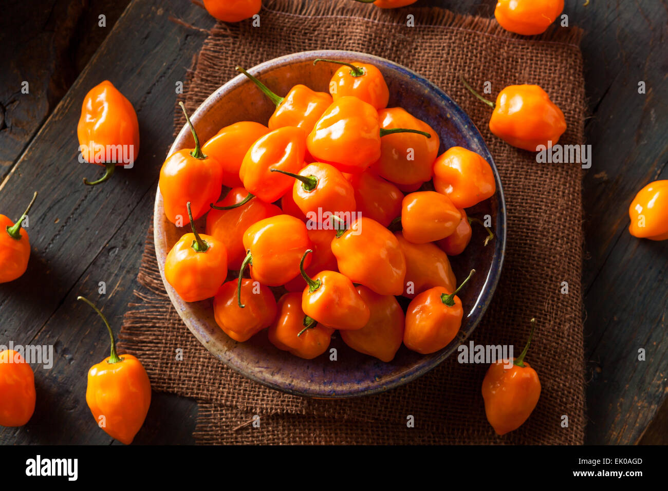Materie organiche Habanero arancione peperoni su uno sfondo Foto Stock