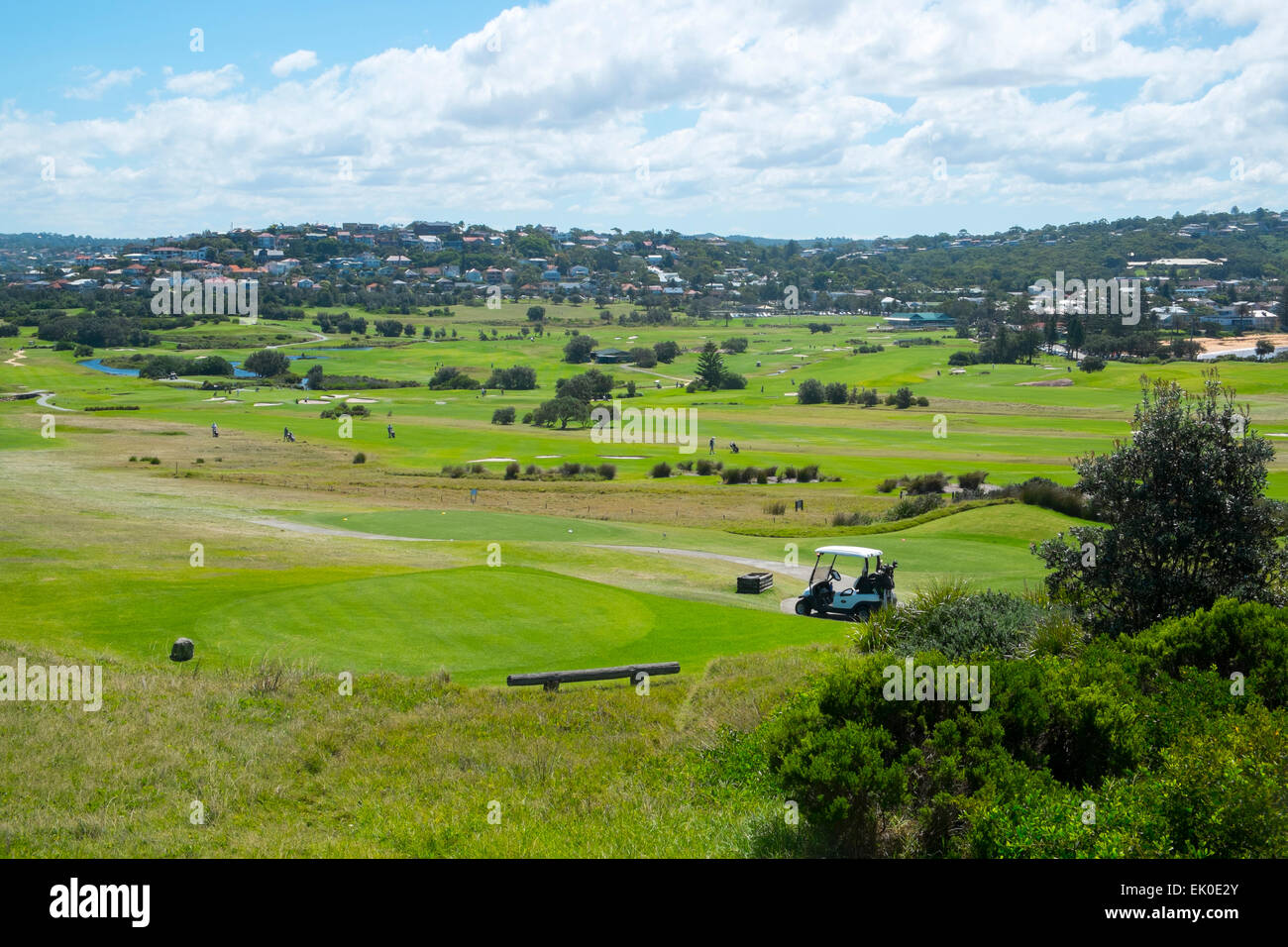 Barriera corallina lungo il campo da golf dall'oceano su Sydney spiagge nord,l'australia Foto Stock