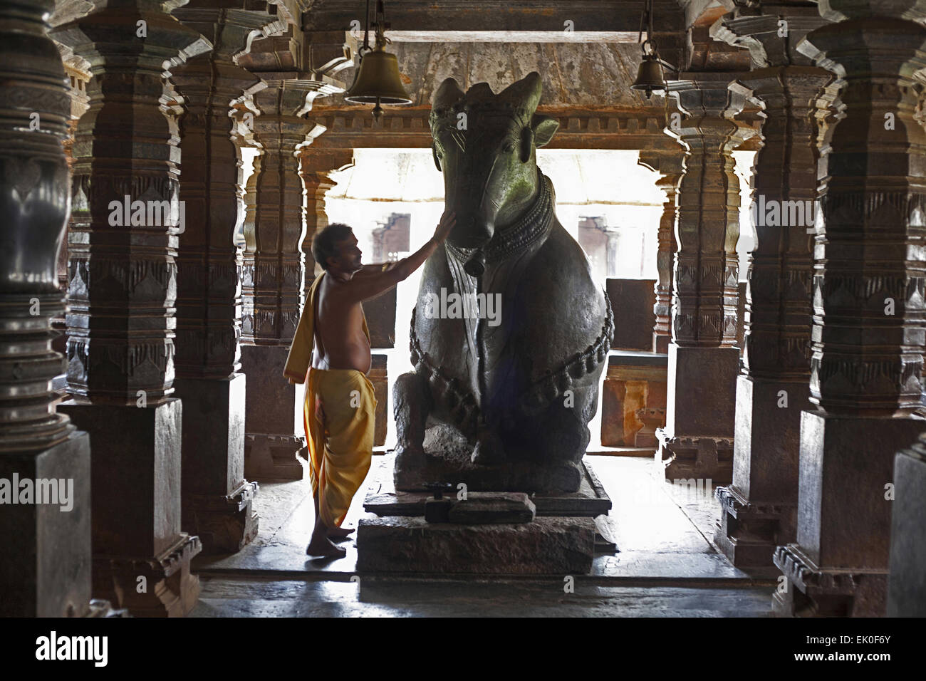 Sacerdote pregare Nandi a Madhukeshwara Tempio a Banavasi, Karnataka, India Foto Stock