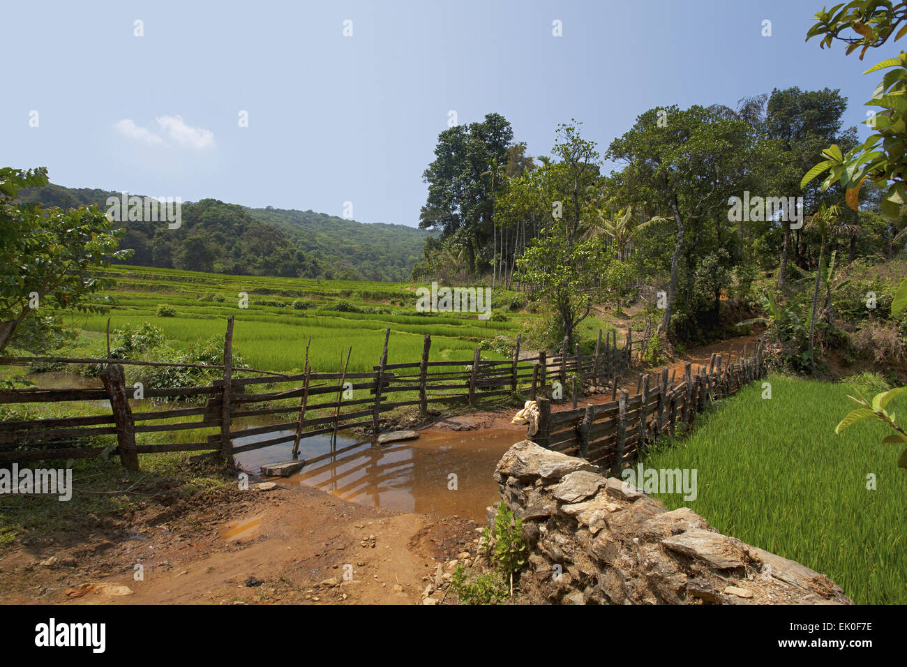 Villaggio Mhayre, Dandeli Anshi Riserva della Tigre, Karnataka, India Foto Stock