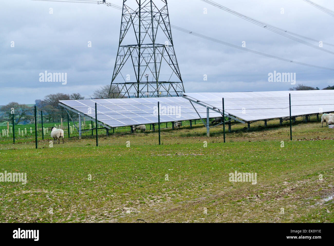 Fonti di energia solare farm Foto Stock