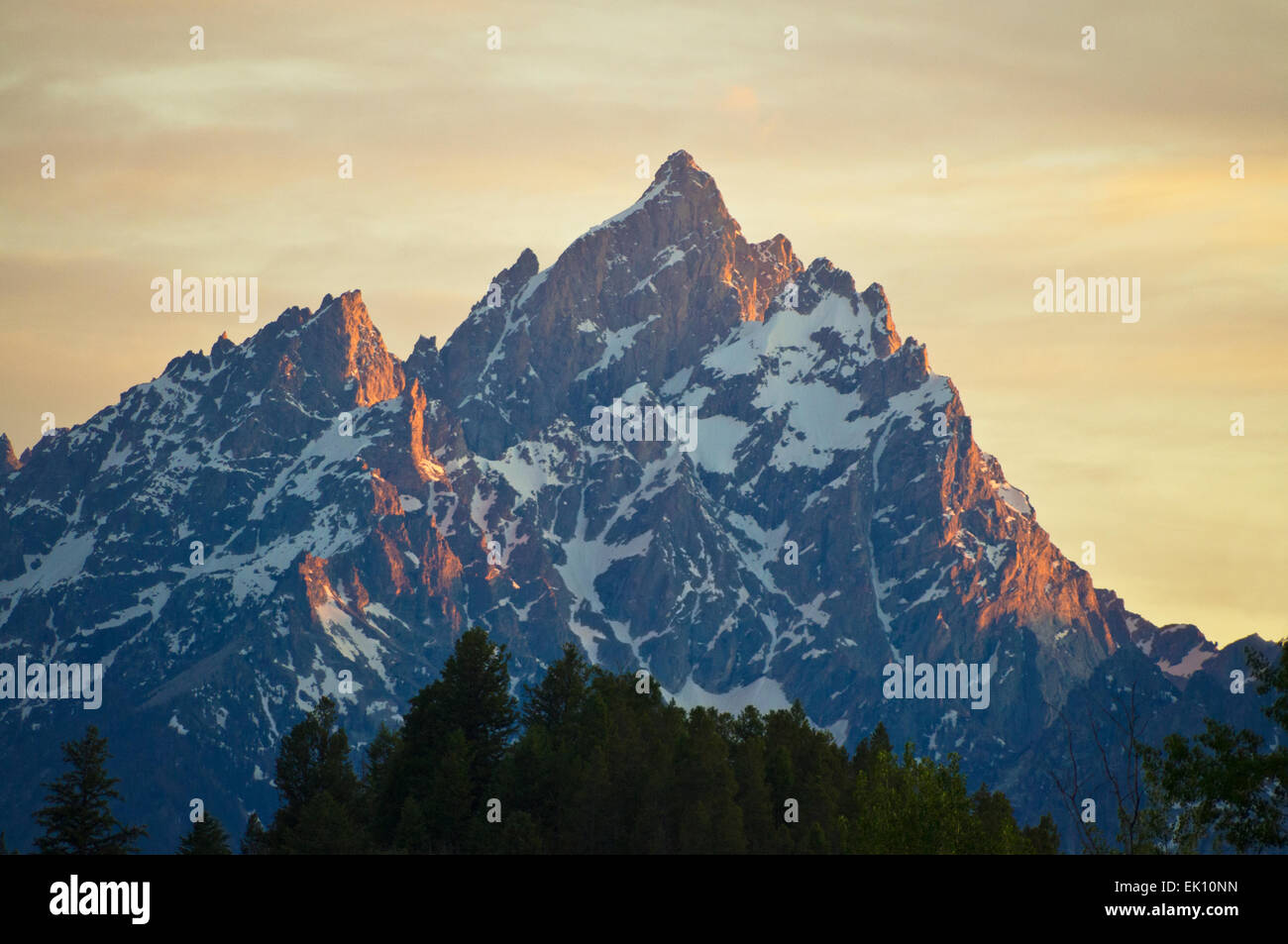 Cime del Parco Nazionale di Grand Teton al tramonto. Grand Teton picco è l'alto picco e Teewinot picco è a sinistra. Foto Stock