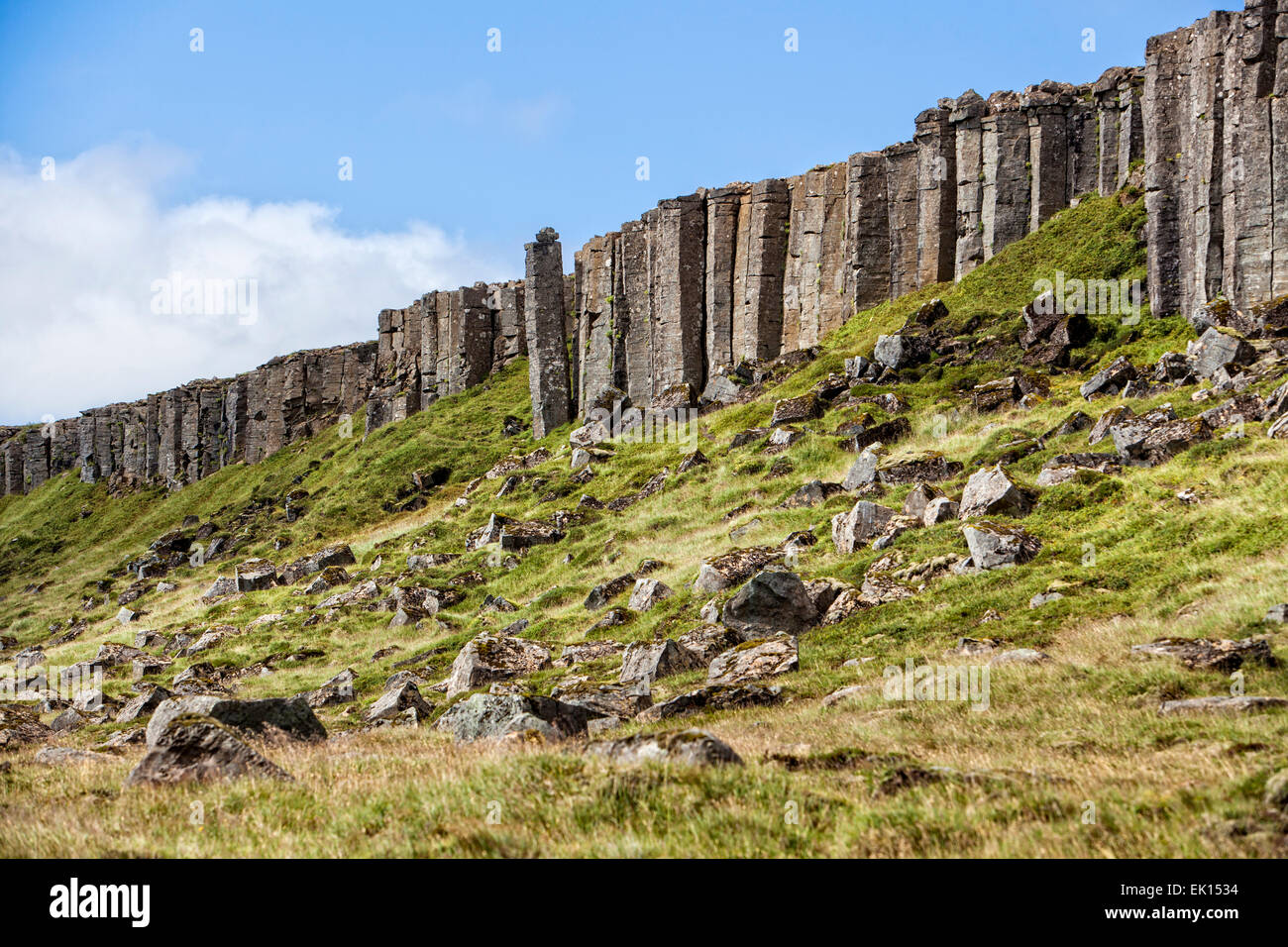 Il Gerduberg colonne di basalto sulla penisola Snaefellsnes, Islanda Foto Stock