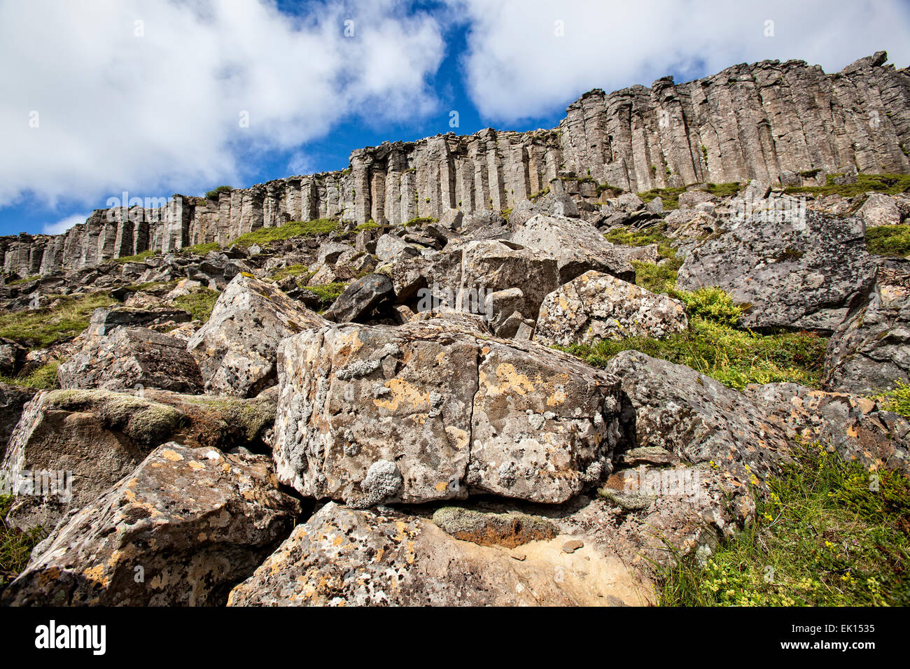 Il Gerduberg colonne di basalto sulla penisola Snaefellsnes, Islanda Foto Stock