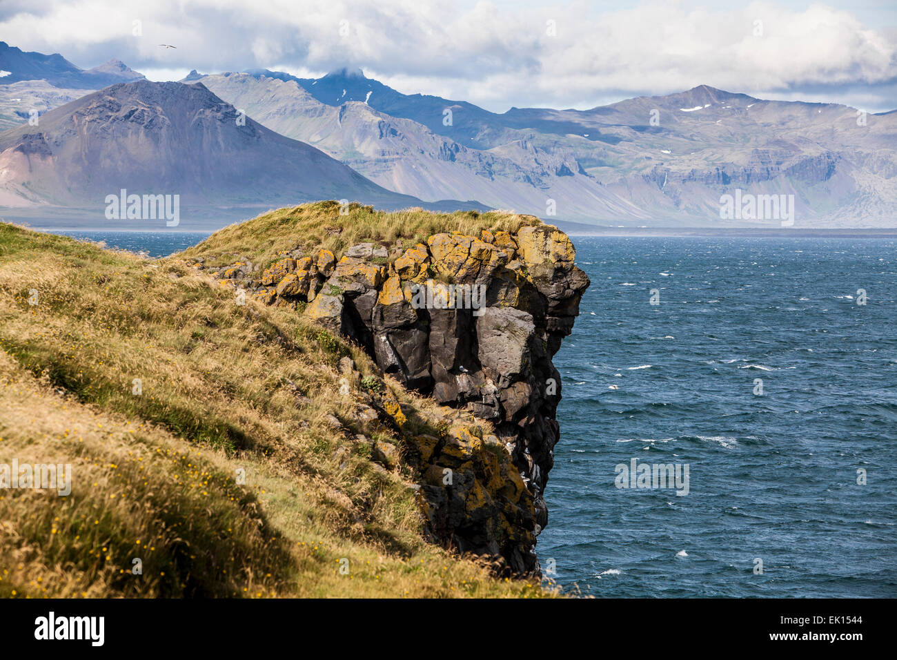 Faccia come profilo su roccia lavica roccia scogliere in Arnarstapi sulla penisola Snaefellsnes in Islanda. Foto Stock