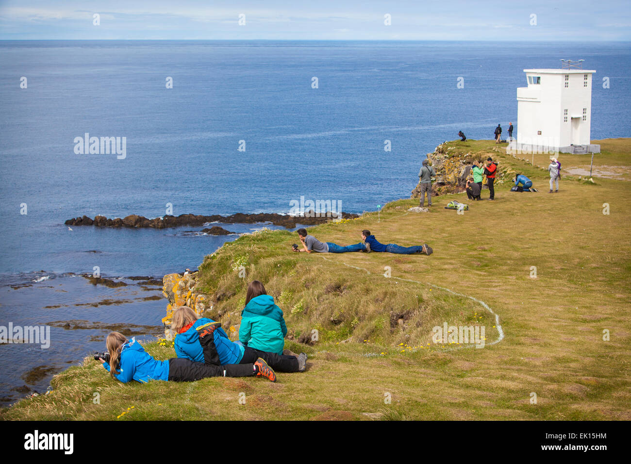 La gente sulle scogliere Latrabjarg nel Westfjords dell Islanda guardando volatili puffini. Foto Stock