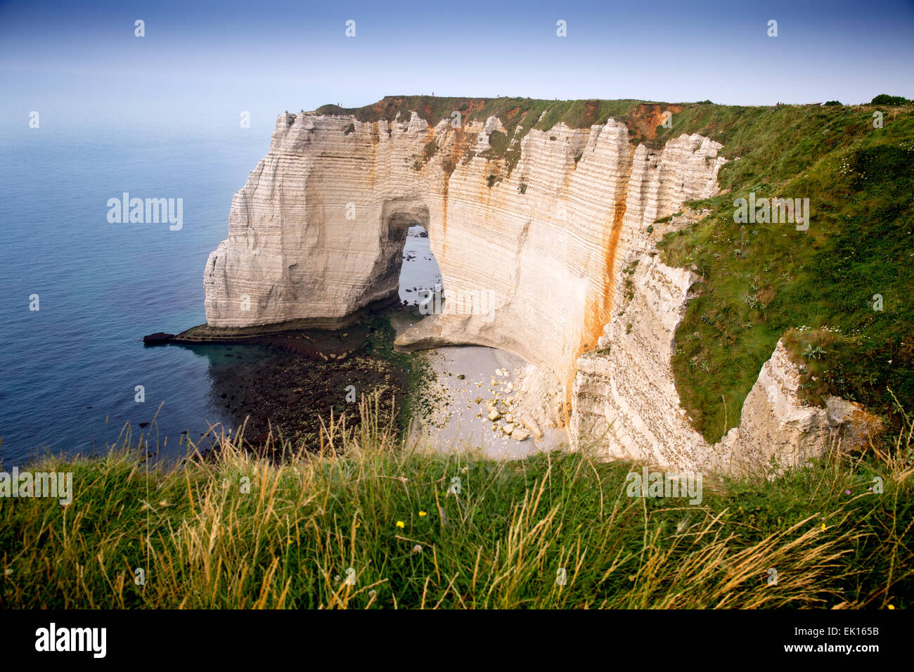 Falaise d'Aval, Sea Cliff, Étretat, Costa d'alabastro, Haute-Normandie, Normandia, Francia, Europa Foto Stock