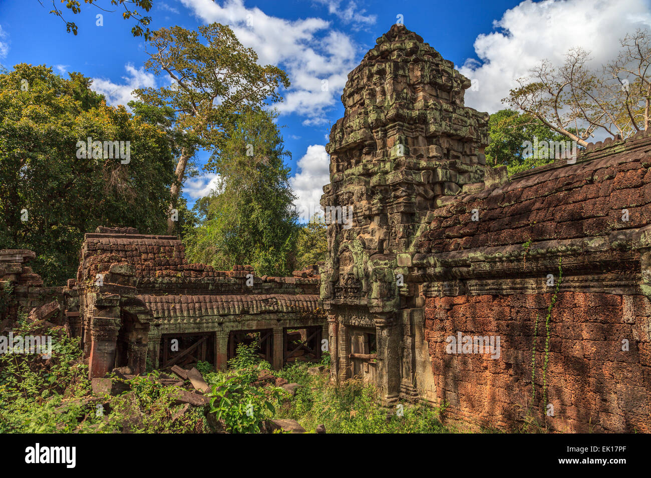 Preah Khan Temple avvolto dalla giungla, Angkor, Cambogia Foto Stock