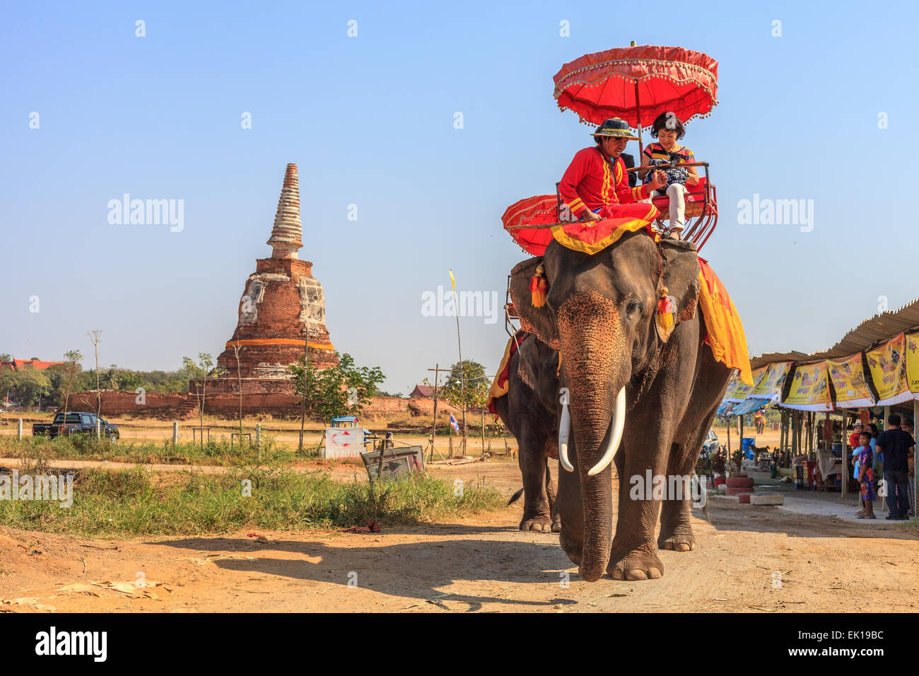 Turisti in giro a dorso di elefante in Ayutthaya, Thailandia Foto Stock