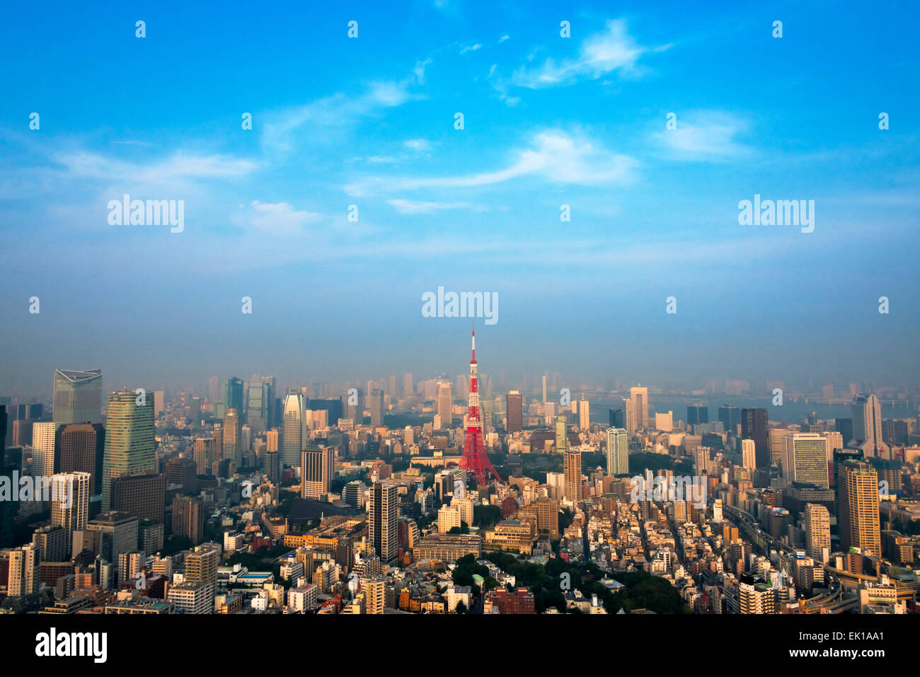 Skyline del centro dominato dalla Torre di Tokyo, Tokyo, Giappone Foto Stock